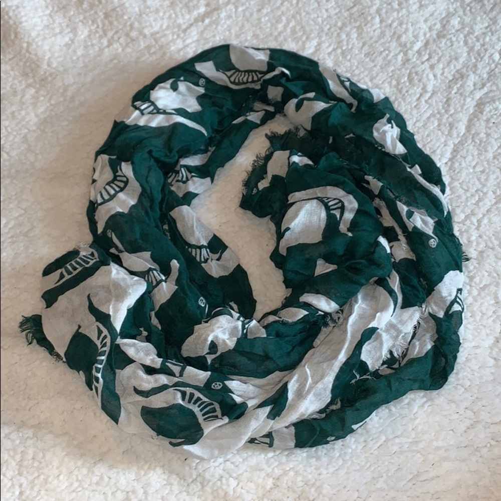 Michigan State University Scarf